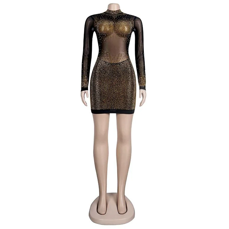 Sparkle See Through Mesh Long Sleeve Mini Dresses